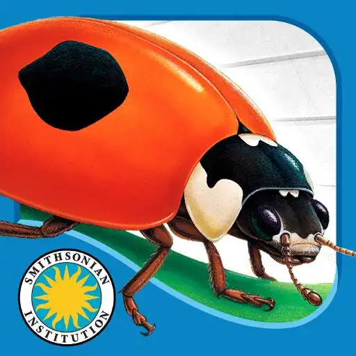 Play Ladybug at Orchard Avenue APK Play Ladybug at Orchard Avenue APK