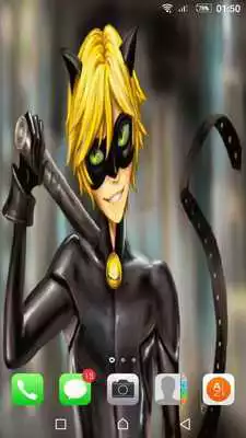 Play Ladybug  Cat Noir Wallpapers HD