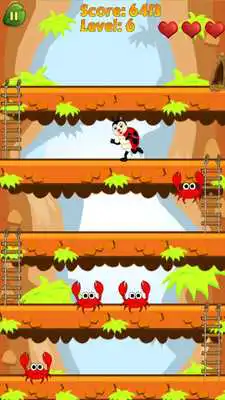 Play Ladybug Escape