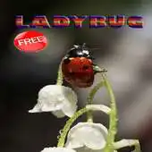 Free play online Ladybug Ideas APK