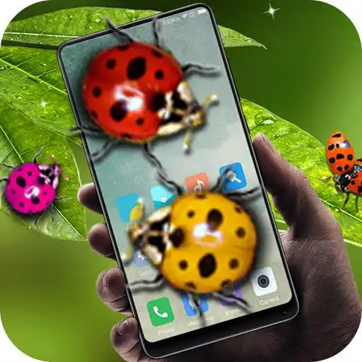 Free play online Ladybug in phone prank  APK