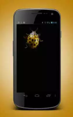 Play Ladybug Live Wallpaper
