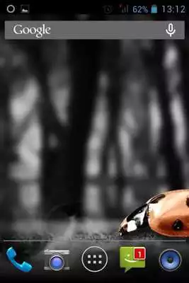 Play Ladybug Machine Live Wallpaper Play Ladybug Machine Live Wallpaper