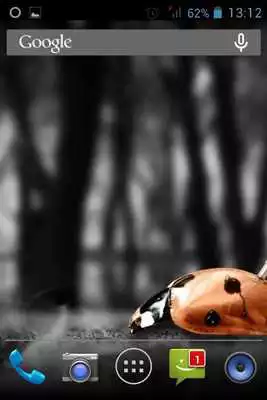Play Ladybug Machine Live Wallpaper Play Ladybug Machine Live Wallpaper