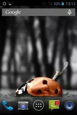 Play Ladybug Machine Live Wallpaper Play Ladybug Machine Live Wallpaper
