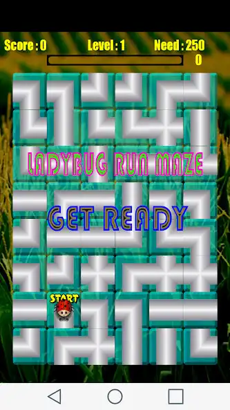 Play LadyBug Run Maze  and enjoy LadyBug Run Maze with UptoPlay