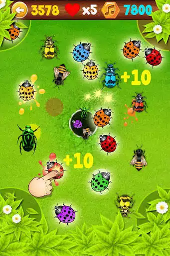 Play Ladybug Smasher