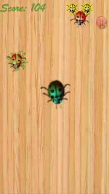 Play Ladybug Smasher