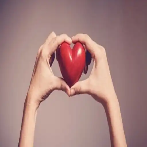 Play Lagu Cinta Sampai Mati 2 APK