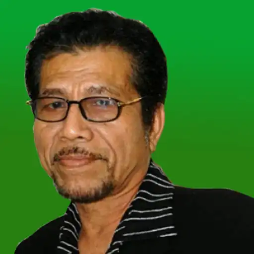 Play Lagu Megi Z Offline APK