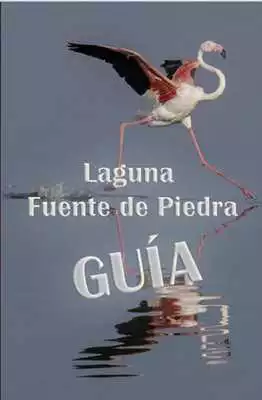 Play Laguna de Fuente de Piedra Play Laguna de Fuente de Piedra