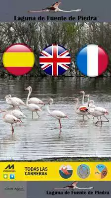 Play Laguna de Fuente de Piedra Play Laguna de Fuente de Piedra