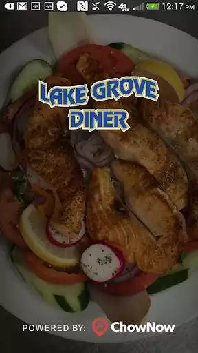 Play Lake Grove Diner  and enjoy Lake Grove Diner with UptoPlay