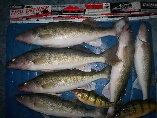 Play Lake Kabetogama Fishing Report