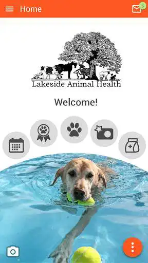 Play Lakeside Animal Health  and enjoy Lakeside Animal Health with UptoPlay
