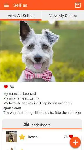 Play Lakeside Animal Health as an online game Lakeside Animal Health with UptoPlay