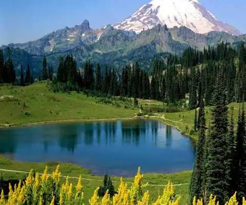 Play Lakes Puzzle Games