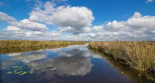 Play Lake Wallpapers