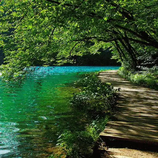 Free play online Lake Way Live Wallpaper APK Free play online Lake Way Live Wallpaper APK