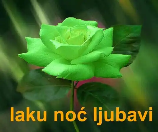Play laku noc  and enjoy laku noc with UptoPlay