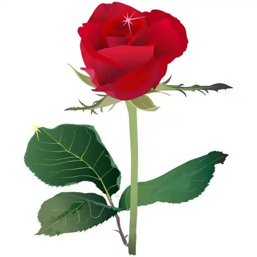 Play Lalgolap Express APK