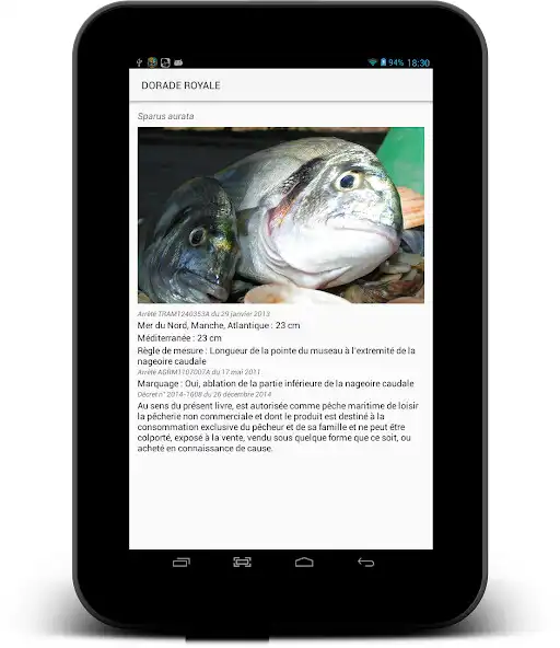 Play LaMaille pour la pêche en mer as an online game LaMaille pour la pêche en mer with UptoPlay