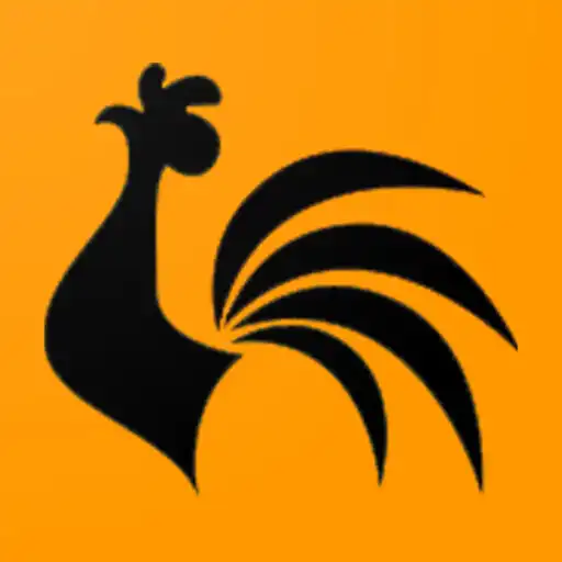 Play Lamegos APK Play Lamegos APK