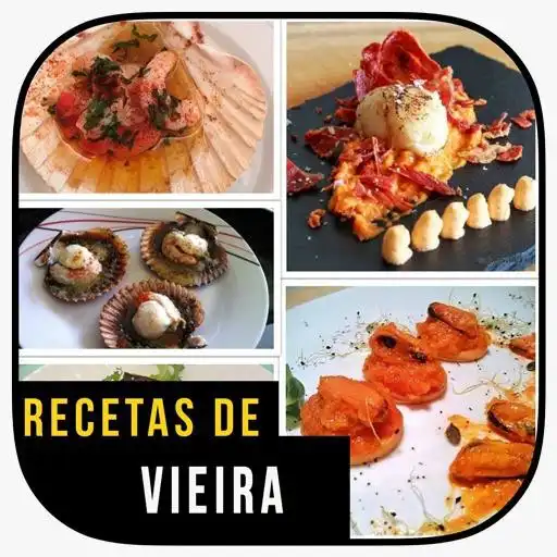 Play La mejor receta de Vieira APK