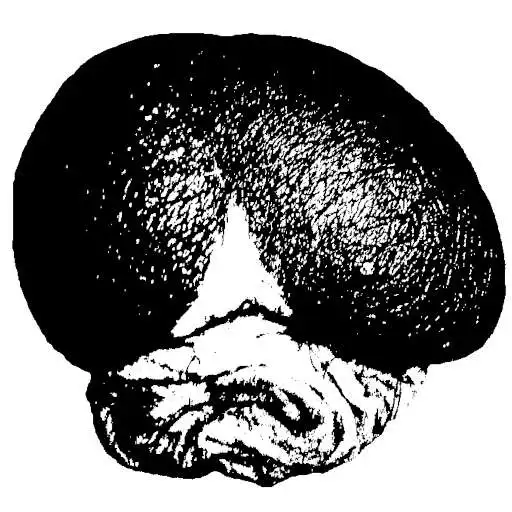 Play LaMouche.Art APK Play LaMouche.Art APK
