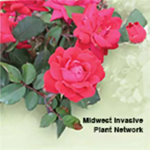 Free play online Landscape Alternatives APK