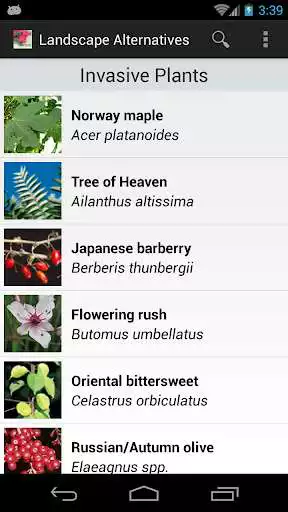 Play Landscape Alternatives Play Landscape Alternatives