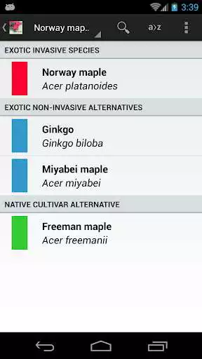 Play Landscape Alternatives Play Landscape Alternatives