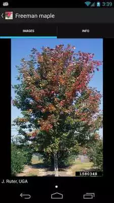 Play Landscape Alternatives Play Landscape Alternatives