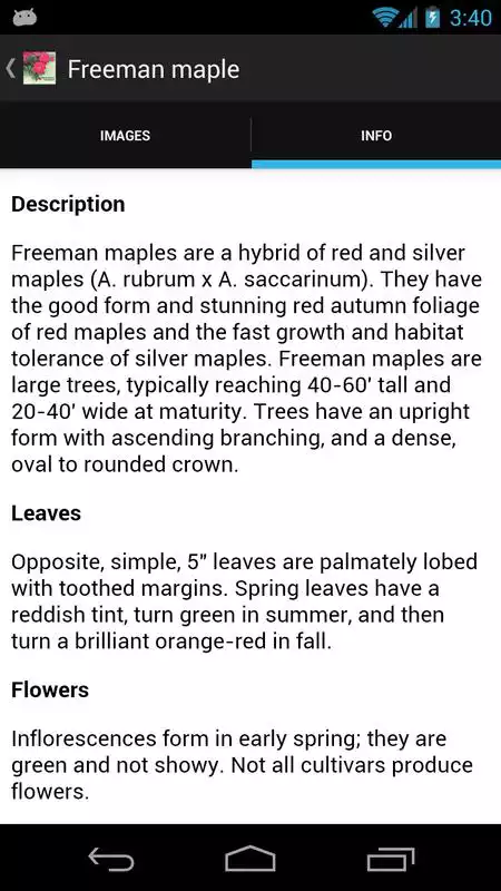 Play Landscape Alternatives Play Landscape Alternatives