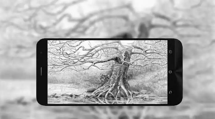 Play Landscape Images