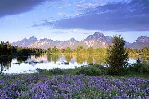 Play Landscape Jigsaw puzzles 4In 1  and enjoy Landscape Jigsaw puzzles 4In 1 with UptoPlay