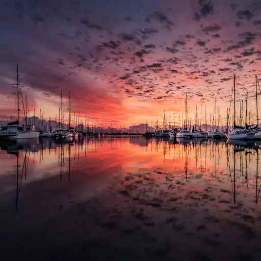 Play Landscape Live Wallpaper APK Play Landscape Live Wallpaper APK