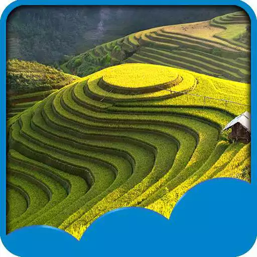 Free play online Landscape Live Wallpapers  APK