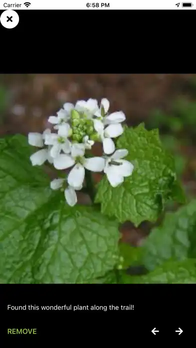 Play Landscape Mobile 3 as an online game online Landscape Mobile 3 with UptoPlay Play Landscape Mobile 3 as an online game Landscape Mobile 3 with UptoPlay