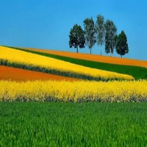 Play Landscapes Wallpaper FULL HD APK Play Landscapes Wallpaper FULL HD APK