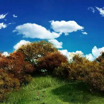 Play LANDSCAPE Wallpapers v1