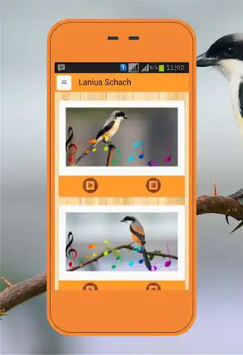 Play Lanius schach  and enjoy Lanius schach with UptoPlay