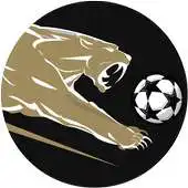 Free play online LA Panthers APK