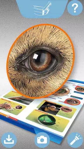 Play LappSantgar as an online game online LappSantgar with UptoPlay Play LappSantgar as an online game LappSantgar with UptoPlay