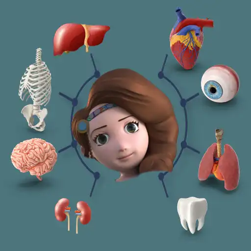 Play Lara Science Body Organs APK