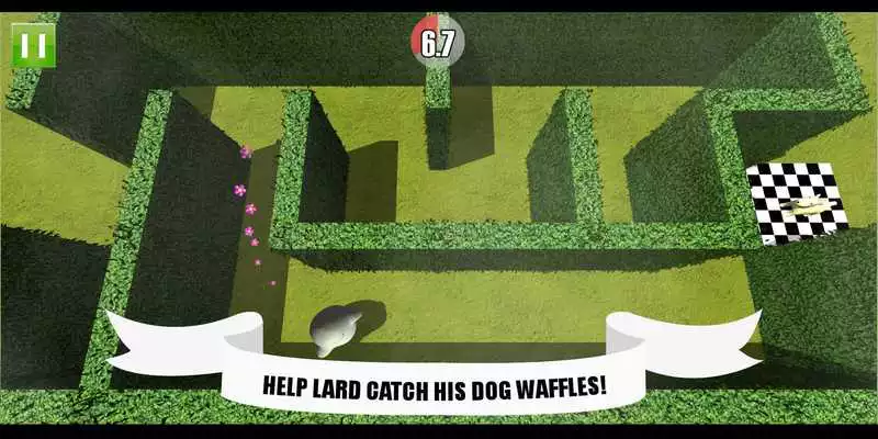 Play Lard and the Peace Maze