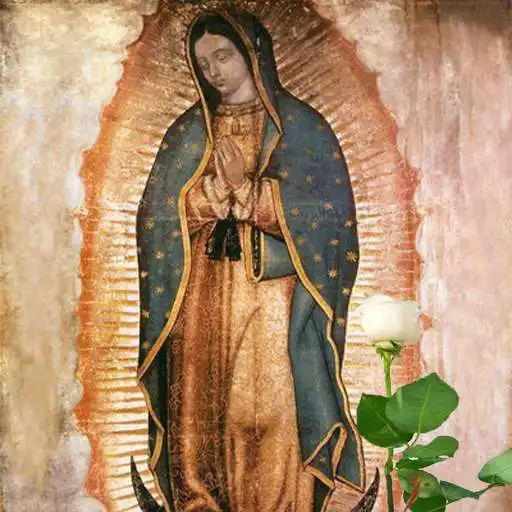 Play La Rosa de Guadalupe APK