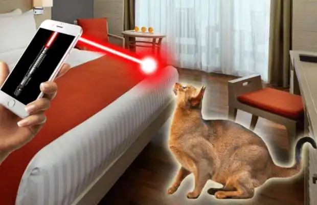 Play Laser for cat Play Laser for cat