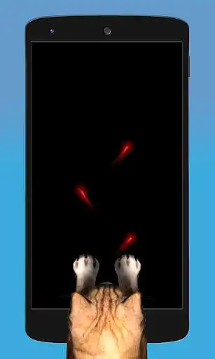 Play Laser pointer for cats as an online game Laser pointer for cats with UptoPlay