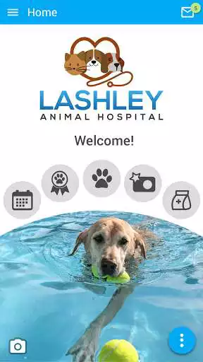 Play Lashley Animal Hospital and enjoy Lashley Animal Hospital with UptoPlay Play Lashley Animal Hospital and enjoy Lashley Animal Hospital with UptoPlay